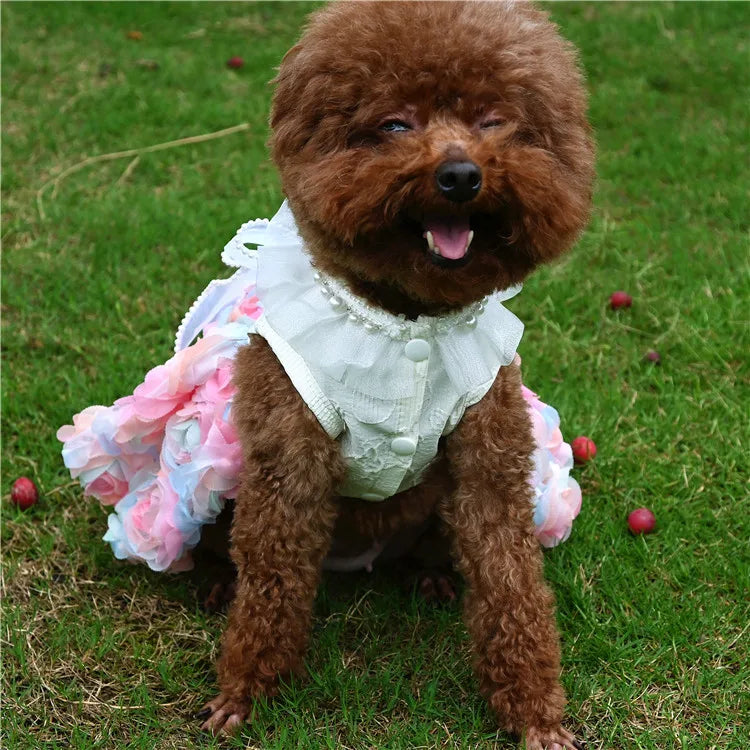New Pet Three-dimensional Chiffon Flower Spring and summer Skirt