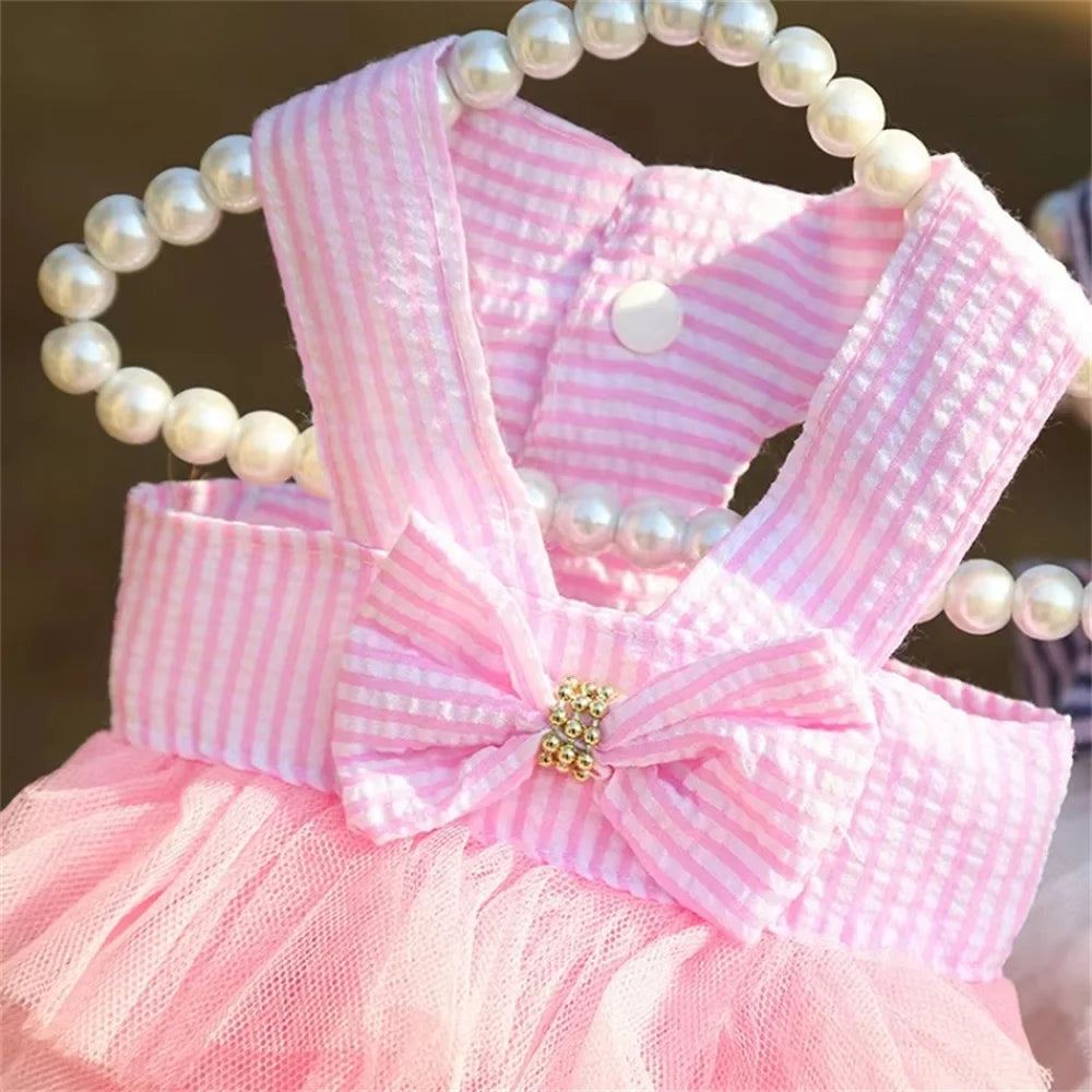 Puppy Lace Summer skirt Dress