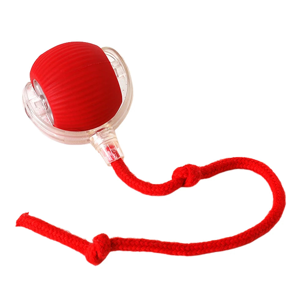 Cat or Dog Interactive Automatic Ball Toys