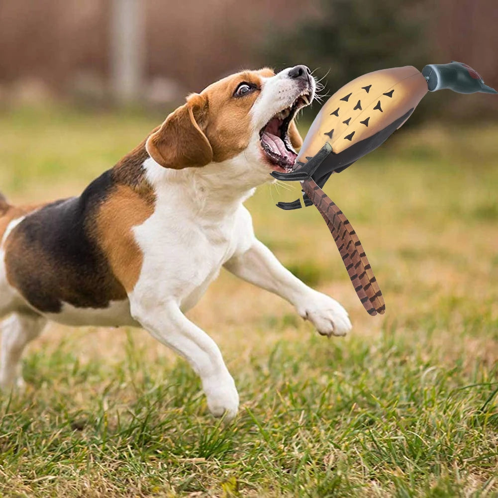 Toy for Hunting Retriever Dog Training