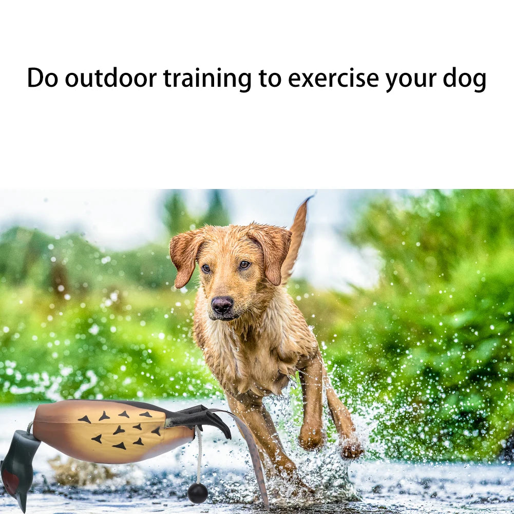 Toy for Hunting Retriever Dog Training
