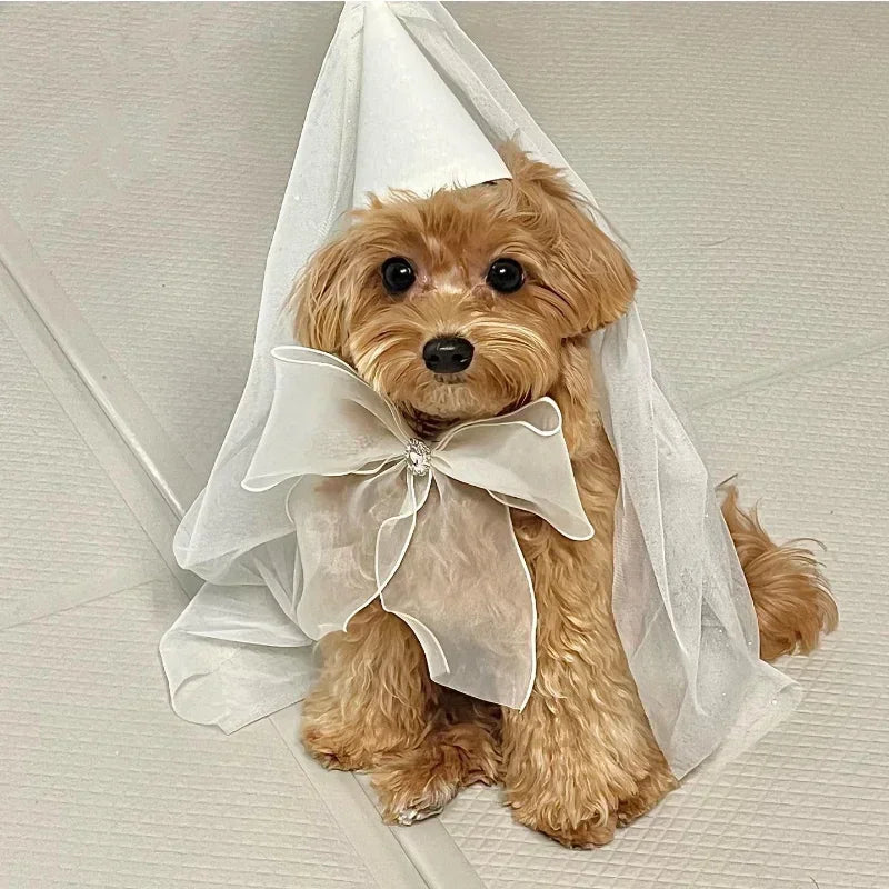 Birthday Party Dog Accessories Hat