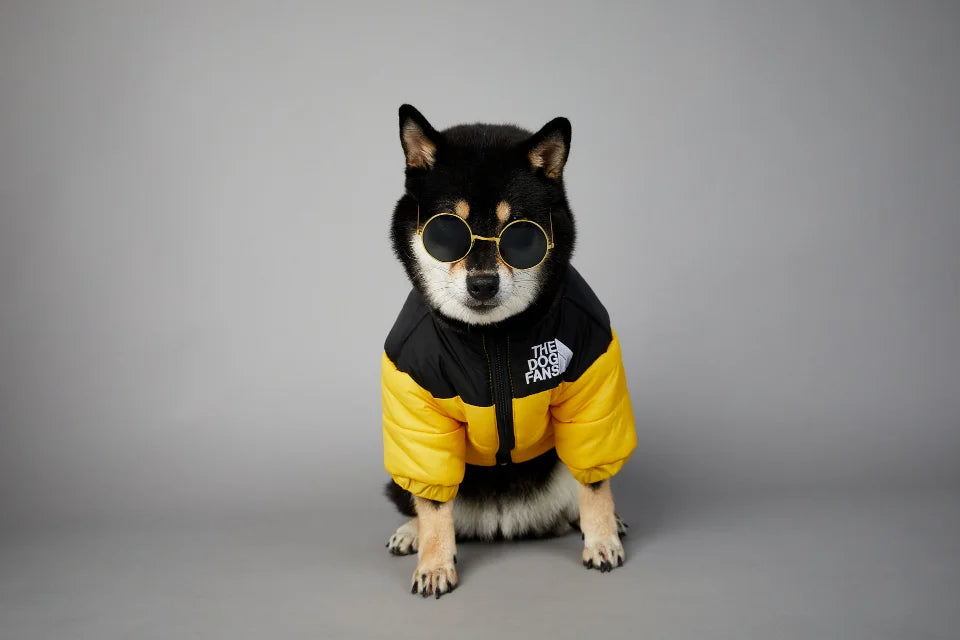 Dog Winter Jacket for Small and Medium