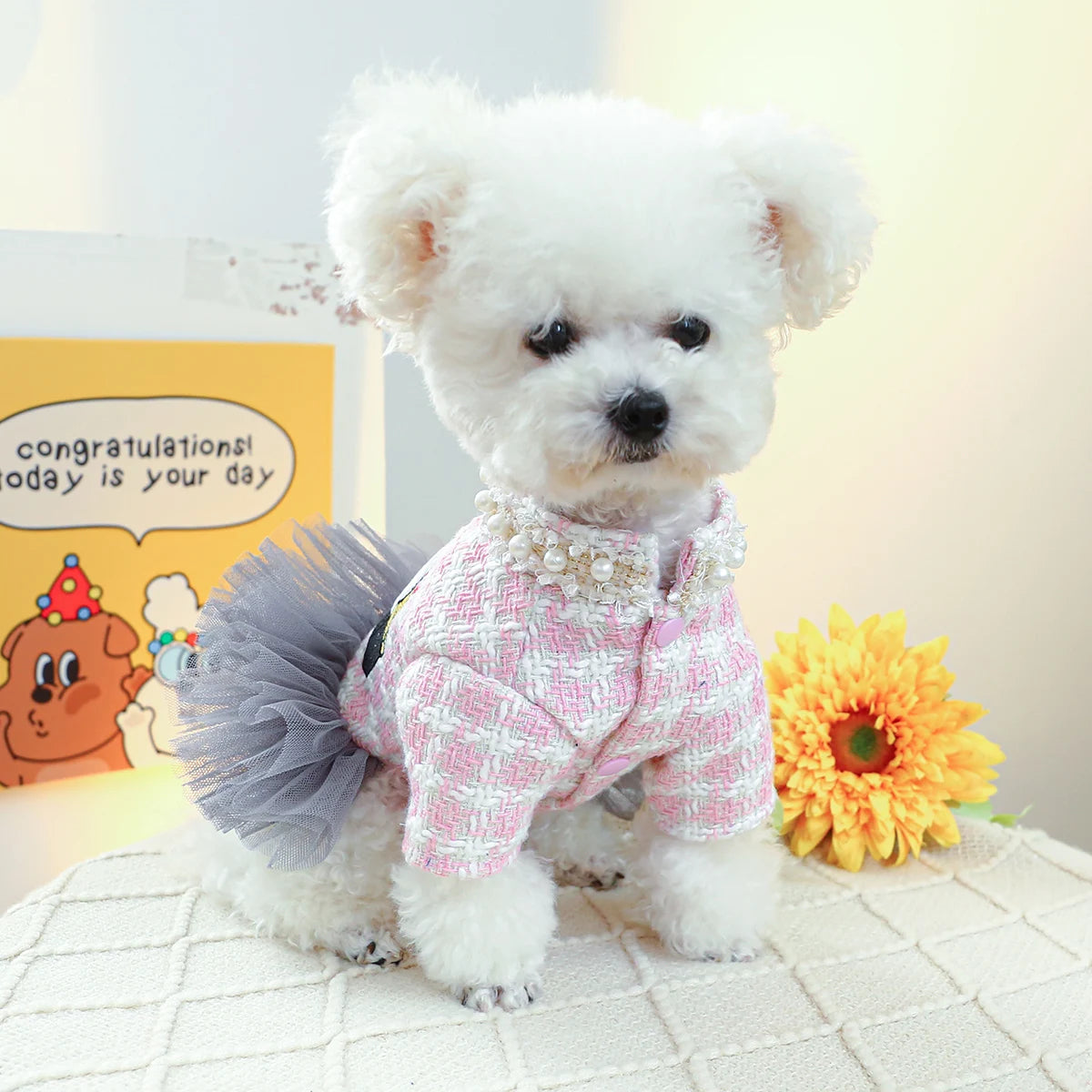 Luxury Dog Dresses For A Princess