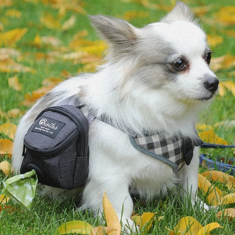 Portable Multi-function Dog training bag