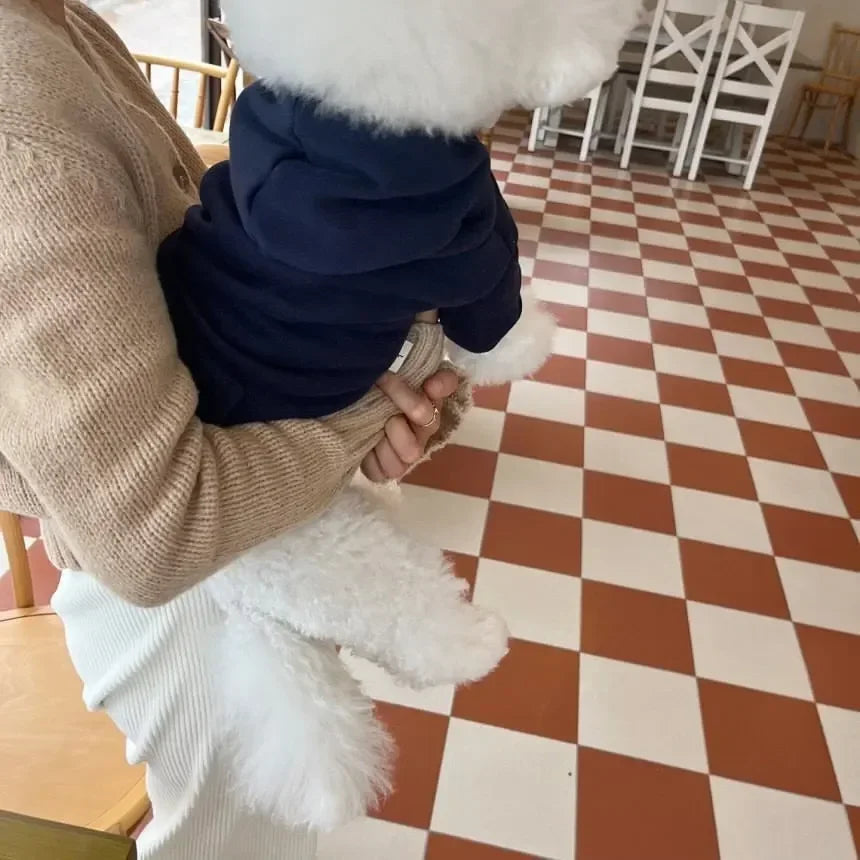 Letter Hoodie Pet Clothing