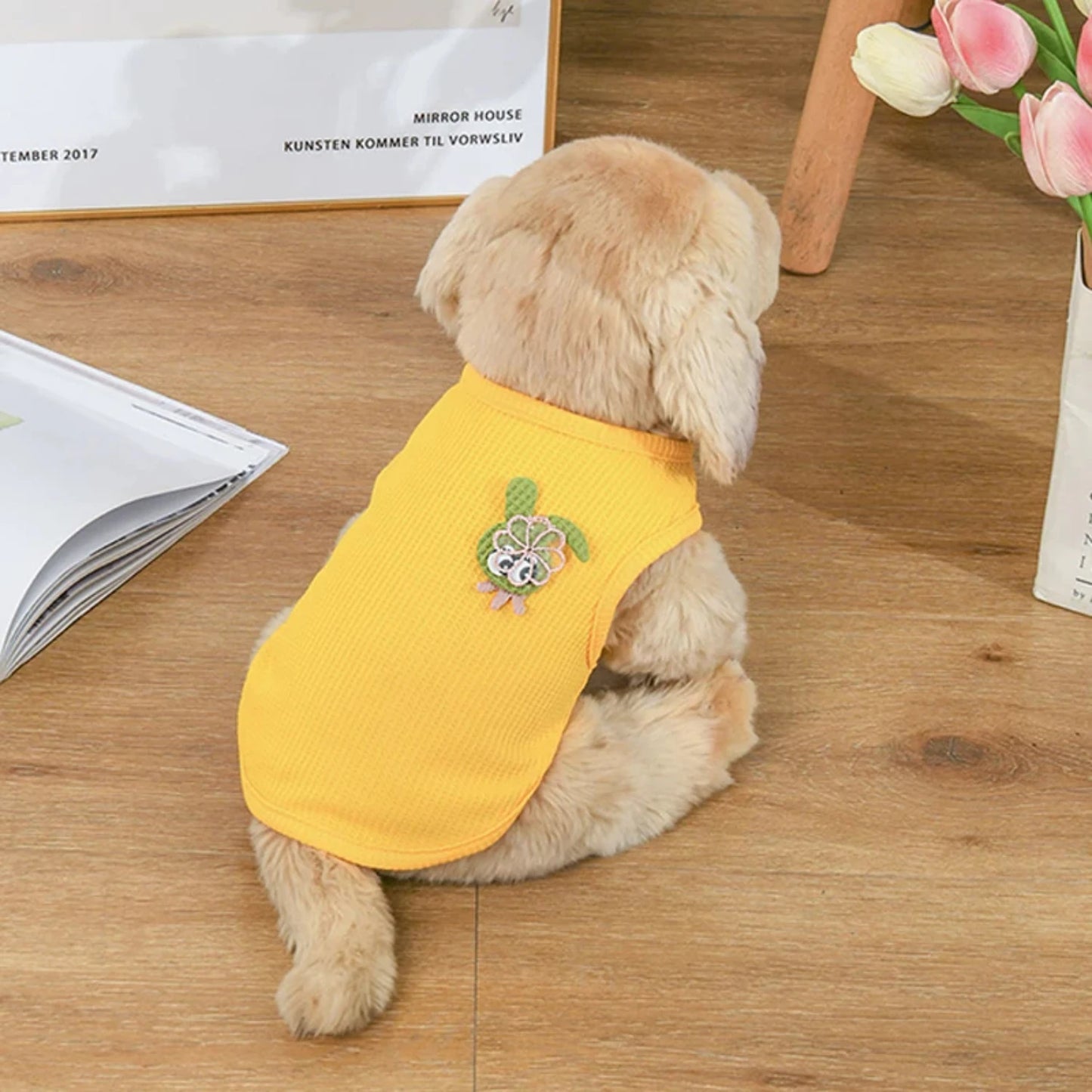 Spring And Summer Pet T-Shirt fashion Luxury Design