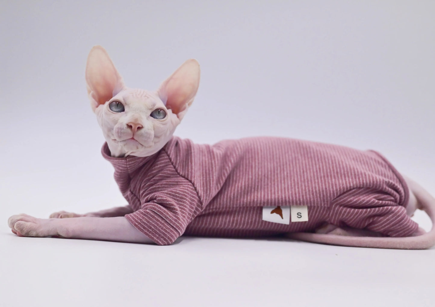 Hairless Cat Warm Clothes