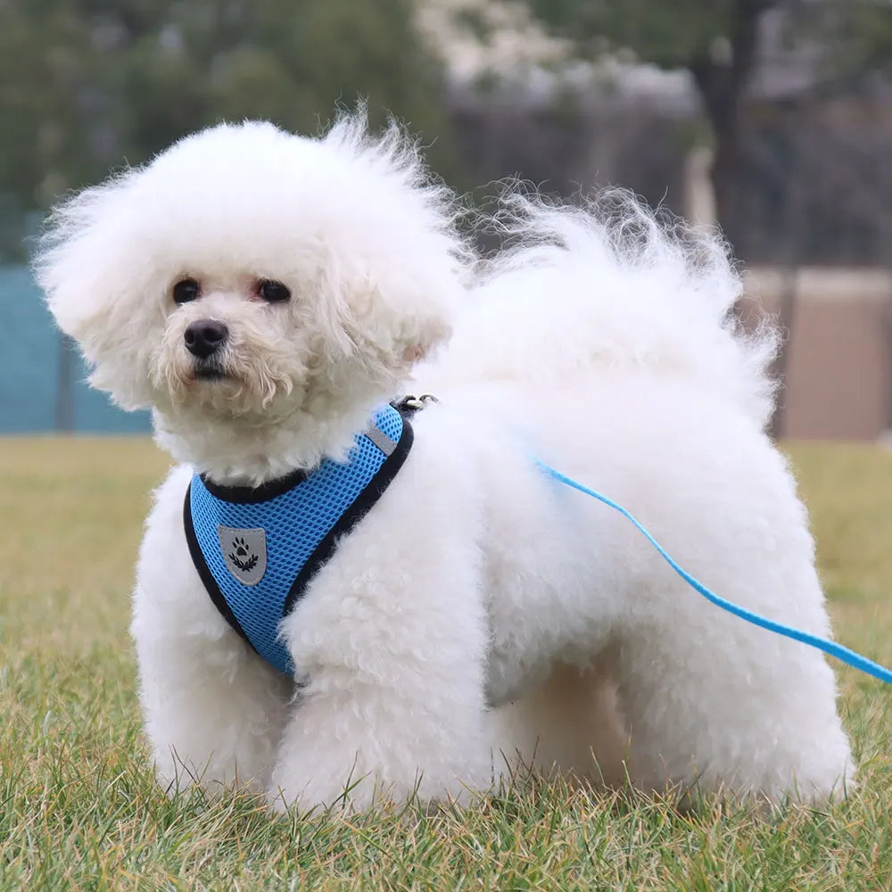 Adjustable Washable Pet Harness