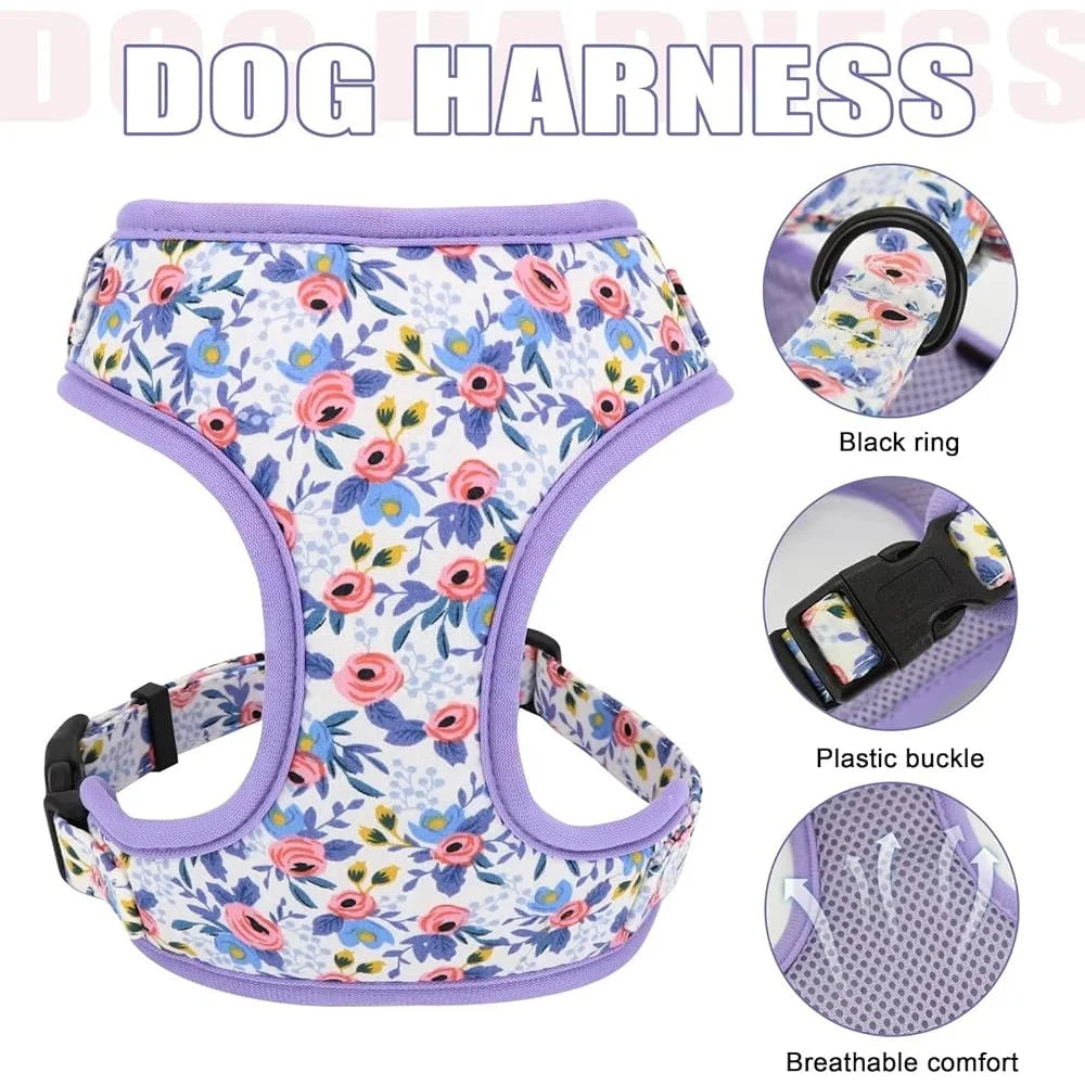 Dog Harness, Leash and Collar Set