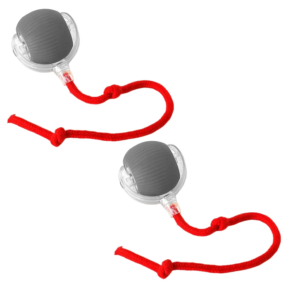 Cat or Dog Interactive Automatic Ball Toys