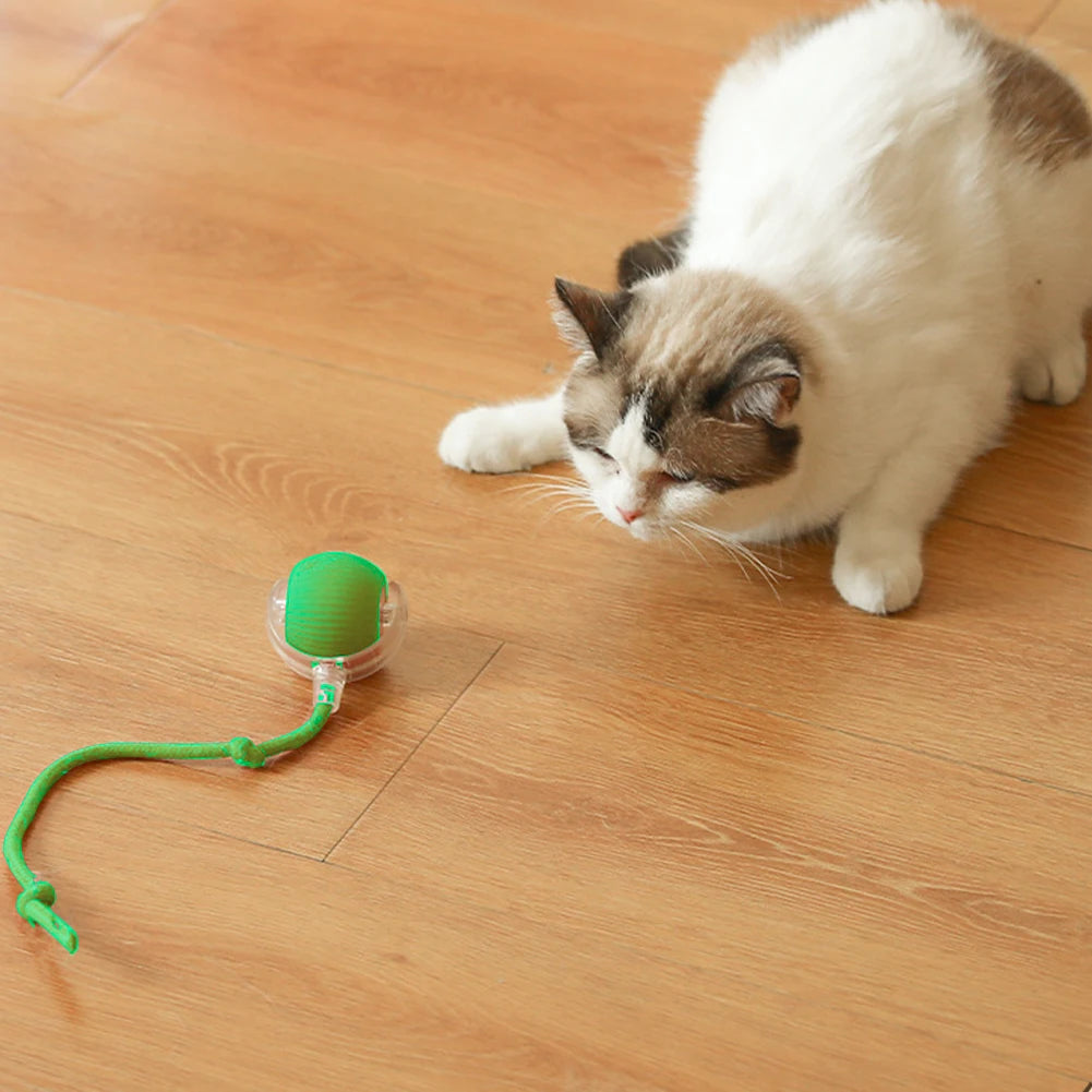 Cat or Dog Interactive Automatic Ball Toys