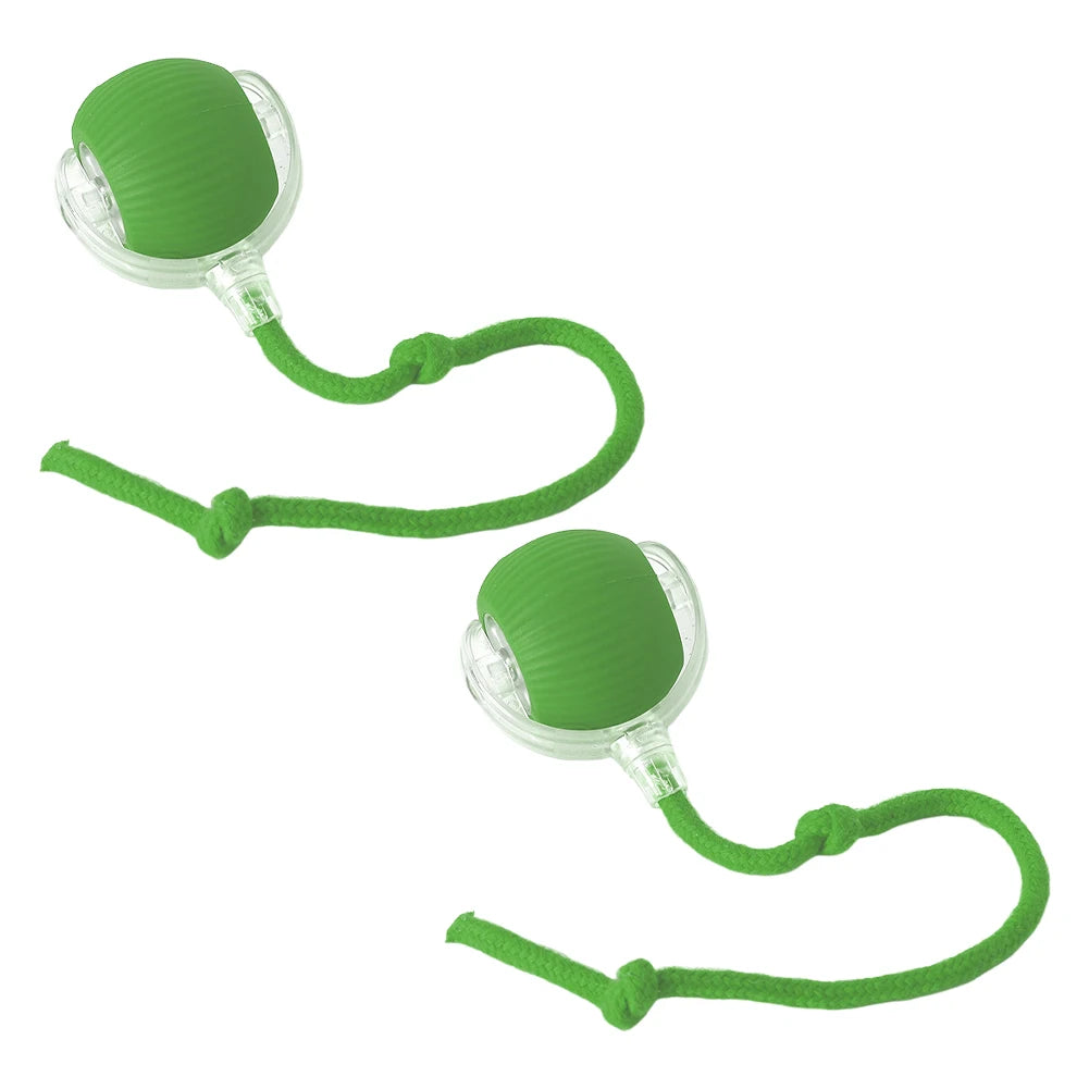Cat or Dog Interactive Automatic Ball Toys