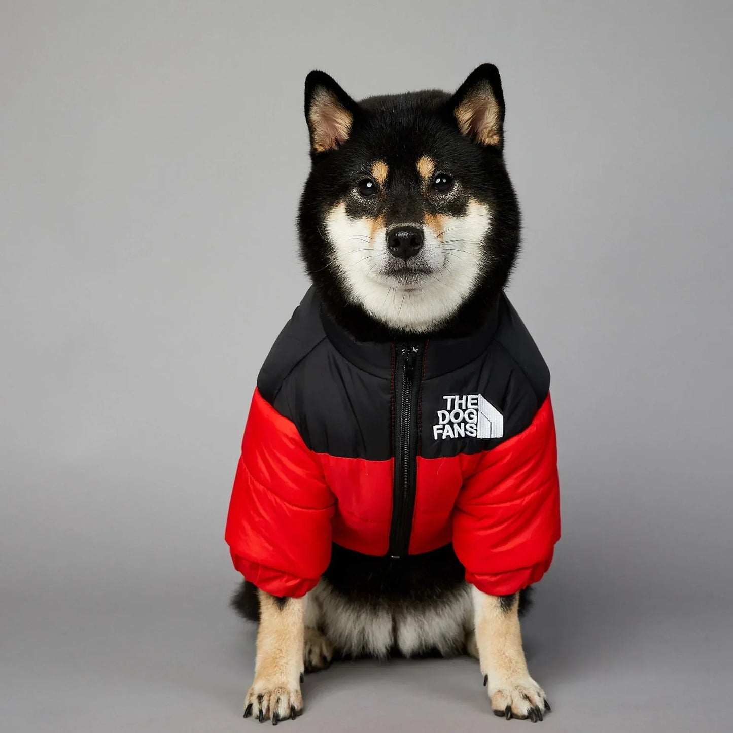 Dog Winter Jacket for Small and Medium