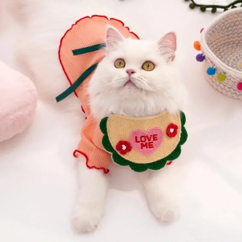 Pet Neck Elastic Spill Protector
elastic lace decoration