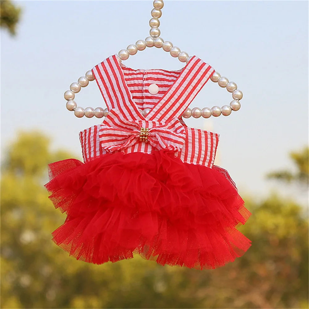 Puppy Lace Summer skirt Dress