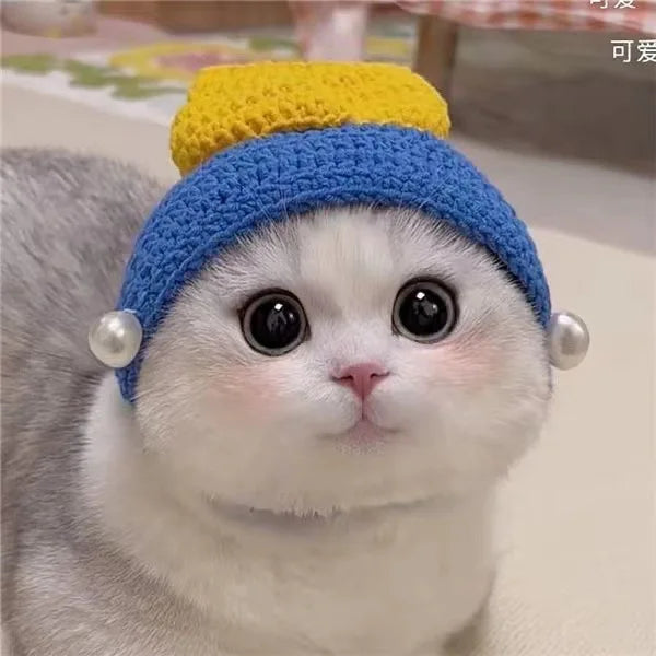 Cute Refined Cat Hat Elastic Autumn Winter Decoration