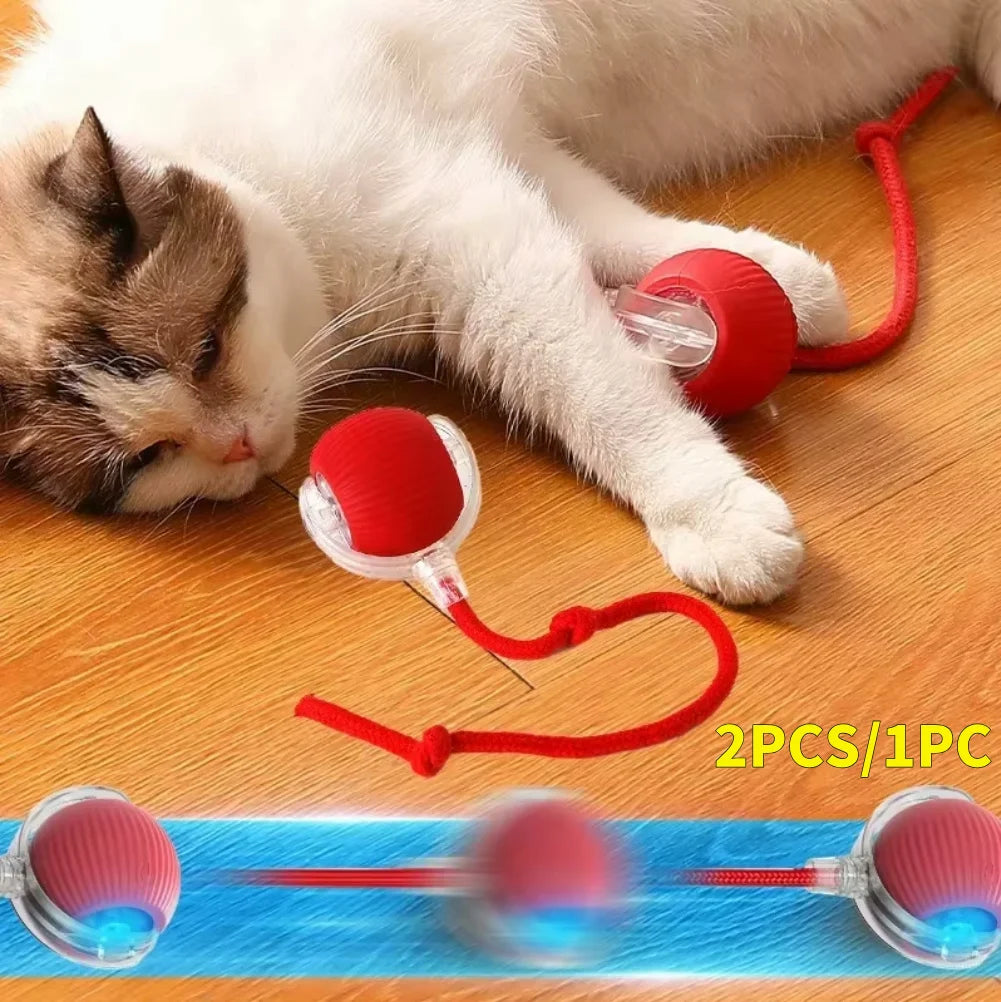 Cat or Dog Interactive Automatic Ball Toys