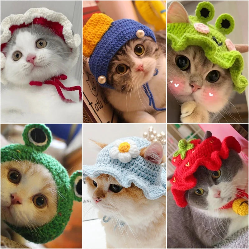 Cute Refined Cat Hat Elastic Autumn Winter Decoration