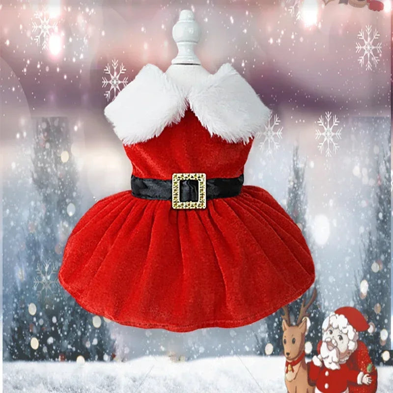 Dog Christmas Coat and Red Dress