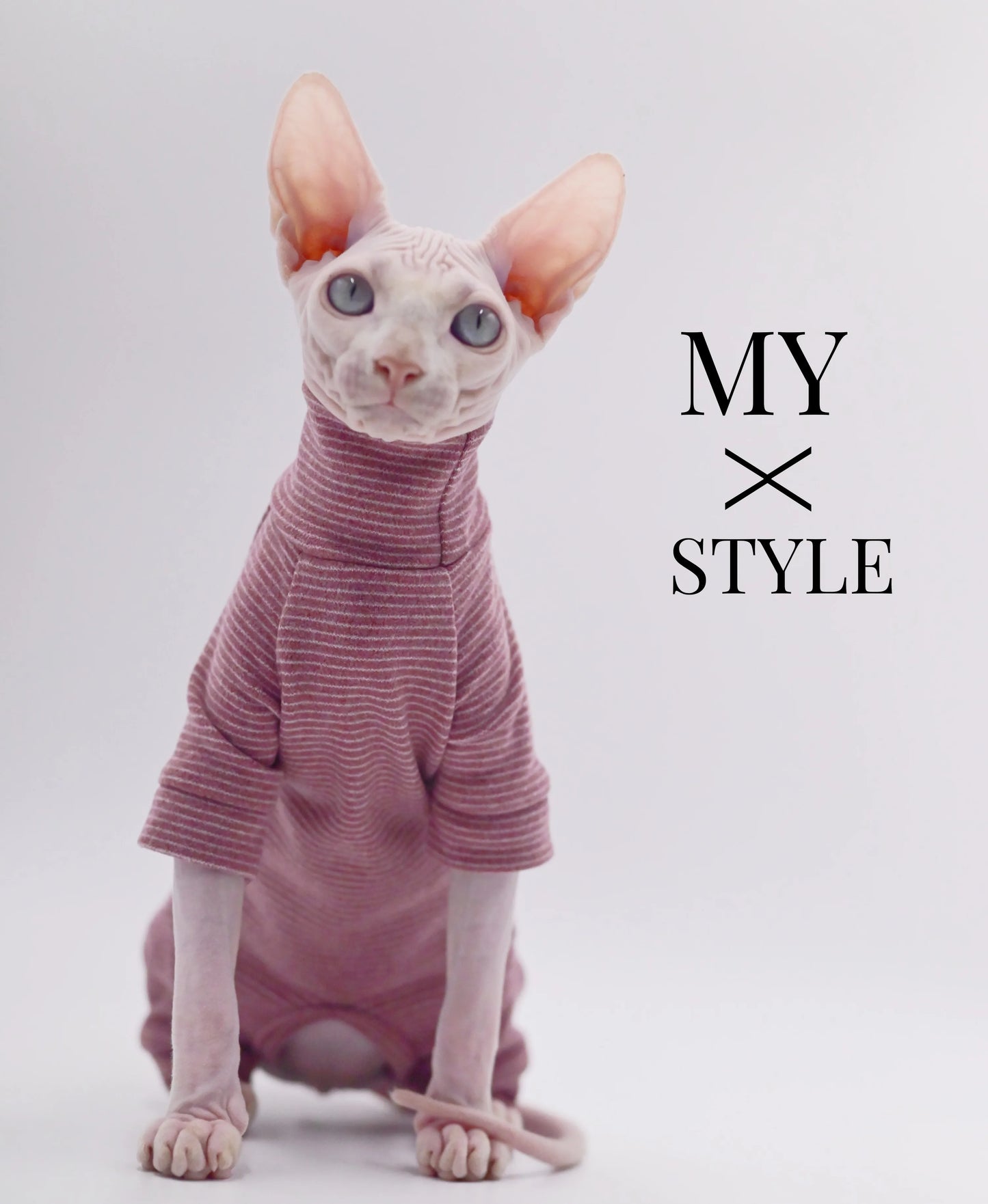Hairless Cat Warm Clothes