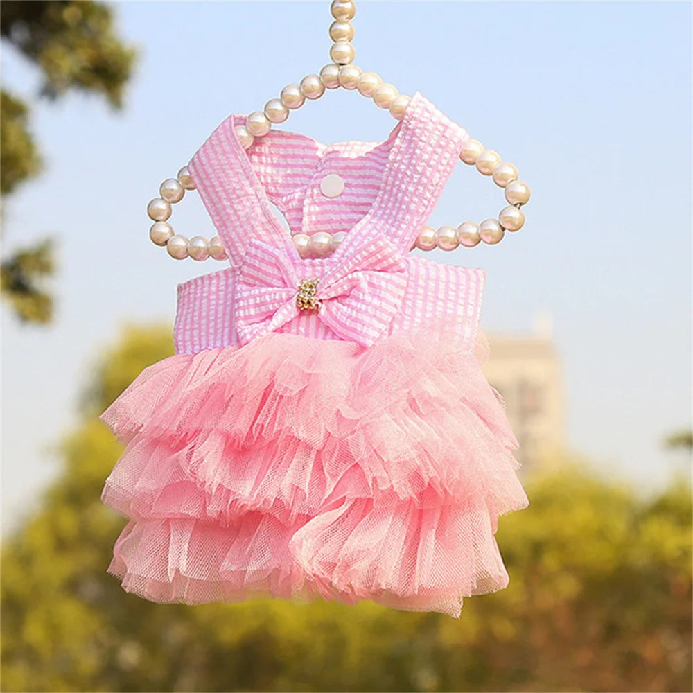 Puppy Lace Summer skirt Dress