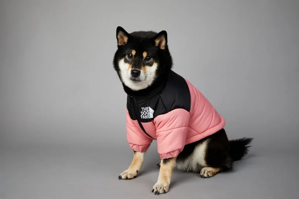 Dog Winter Jacket for Small and Medium