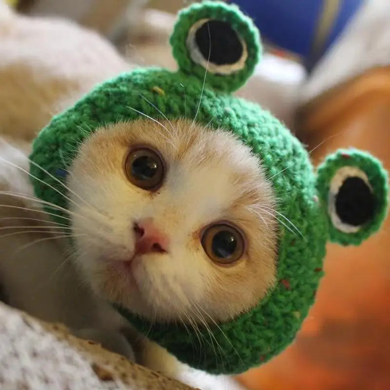 Cute Refined Cat Hat Elastic Autumn Winter Decoration