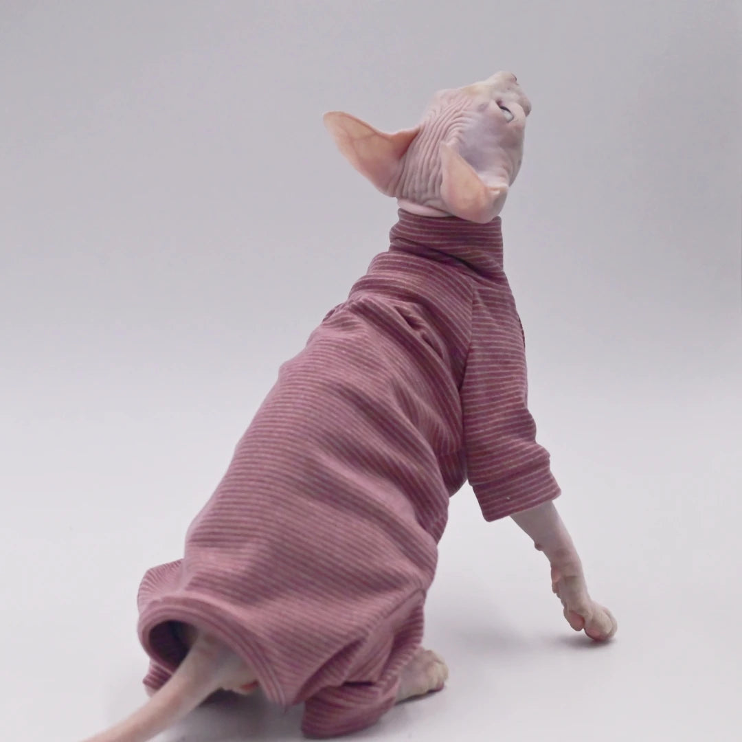Hairless Cat Warm Clothes