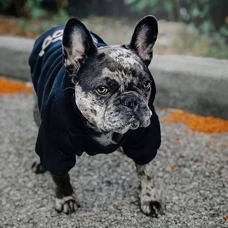 Dog Winter Fashion Outdoor Clothing