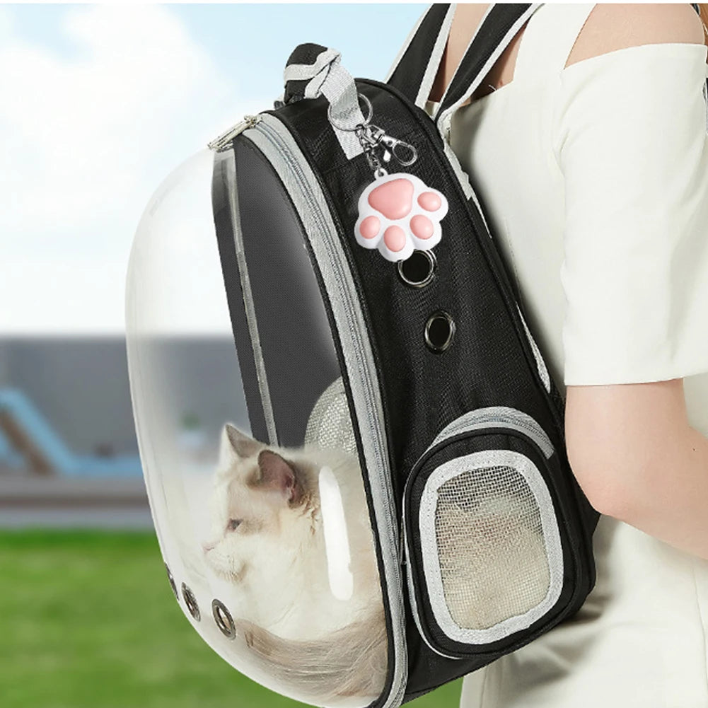 Interactive Funny Kitten Training Laser Toy