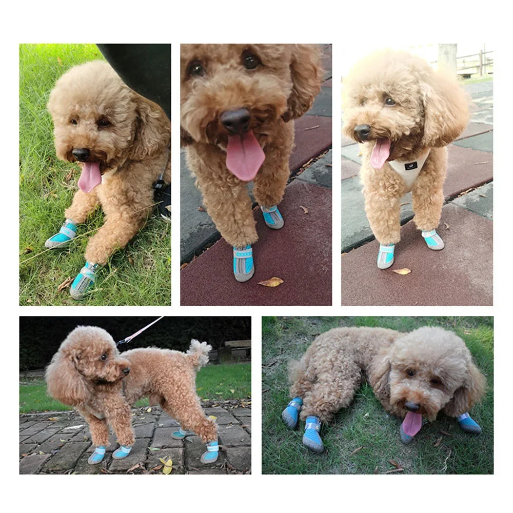Mesh Silicone Durable Reflective Breathable Puppy Sneakers