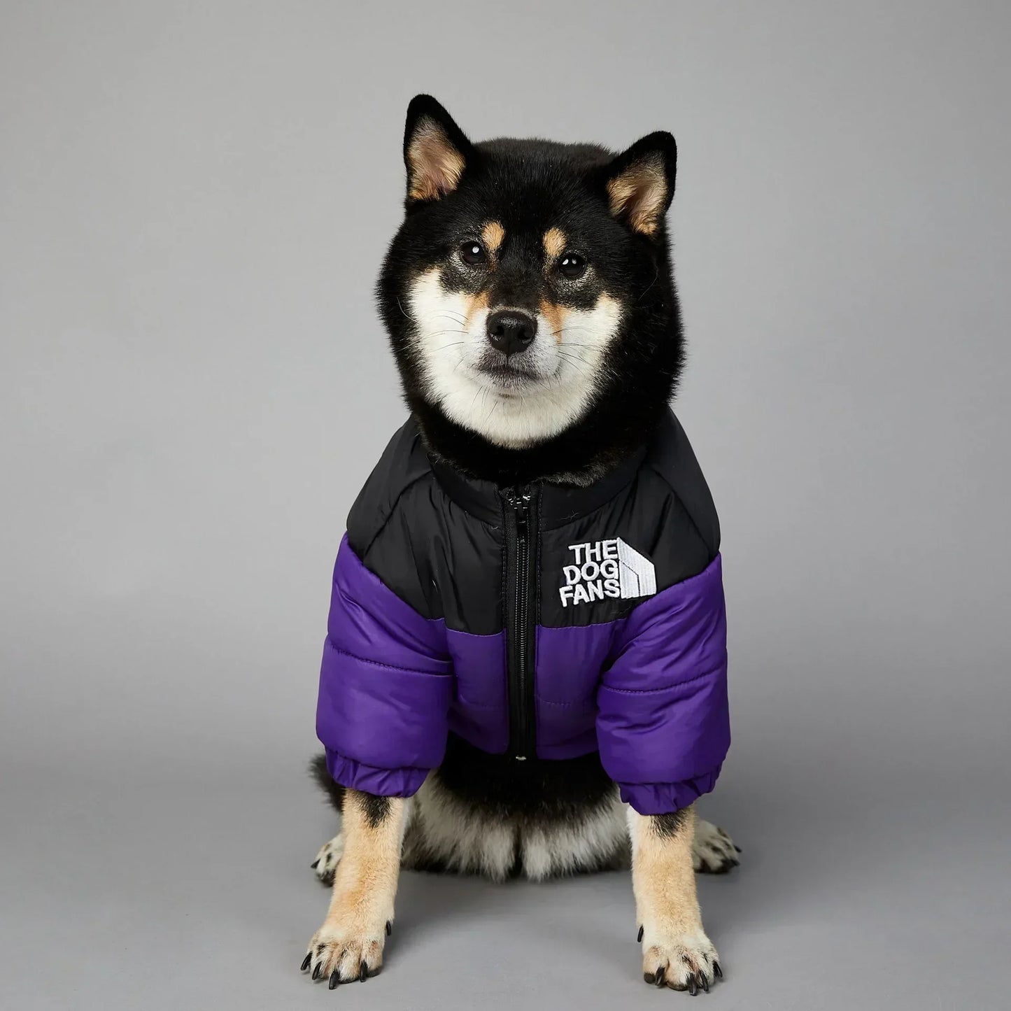 Dog Winter Jacket for Small and Medium