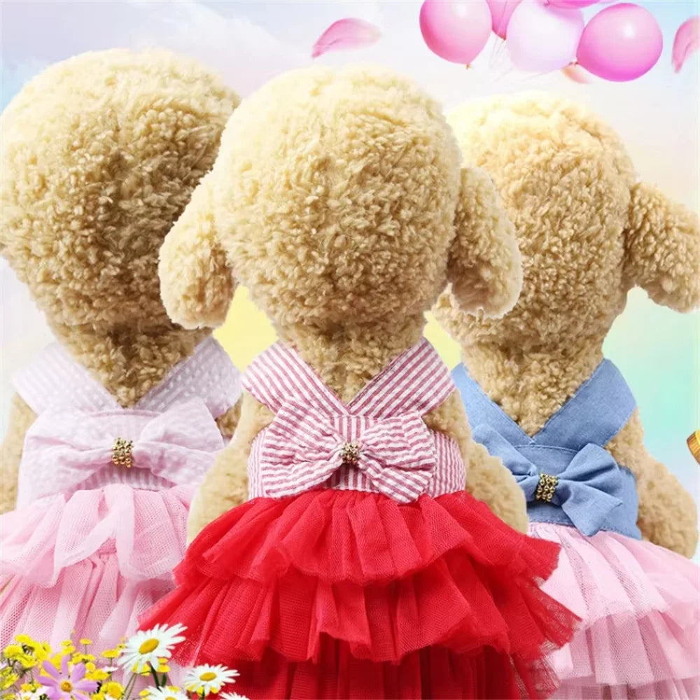 Puppy Lace Summer skirt Dress