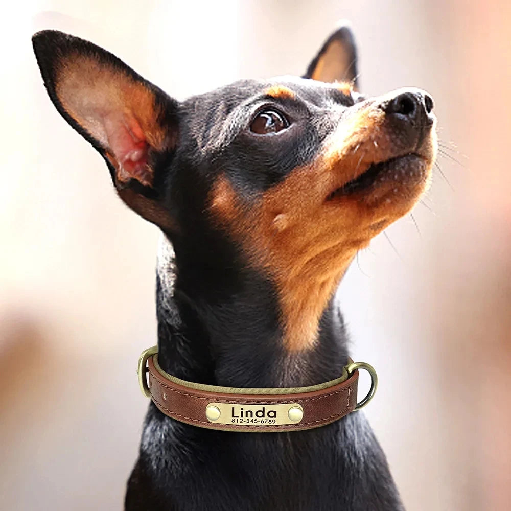 Customized Leather ID Nameplate Dog Collar Adjustable Soft Padded Dogs Collars Free Engraving Name for Small Medium Large Dogs