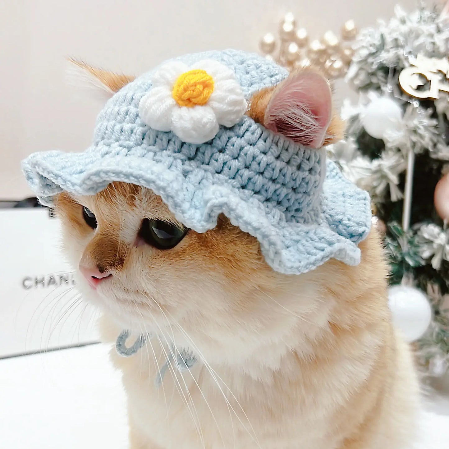 Cute Refined Cat Hat Elastic Autumn Winter Decoration