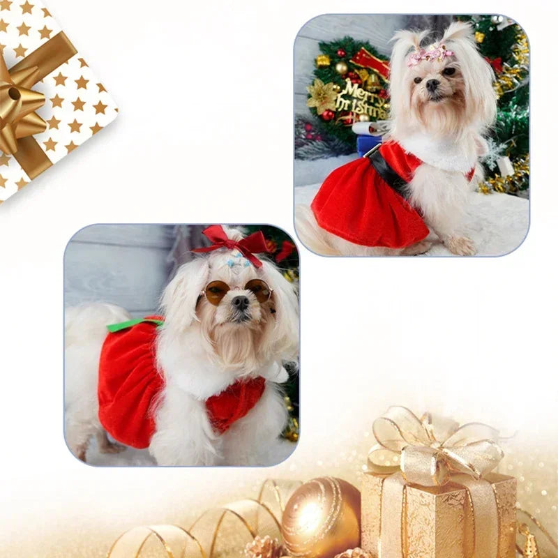 Dog Christmas Coat and Red Dress