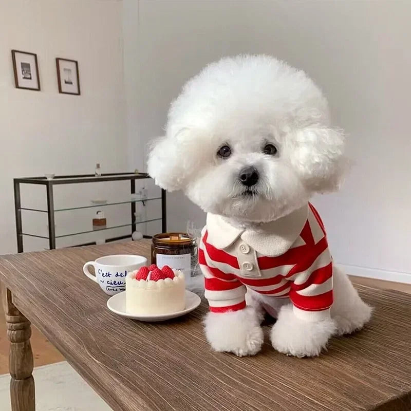 Striped Pet T-Shirt Pullover Suit