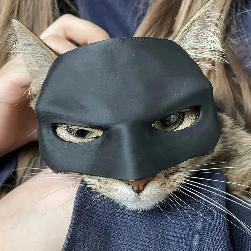 Black Bat Cat Avenger Decoration Party Mask