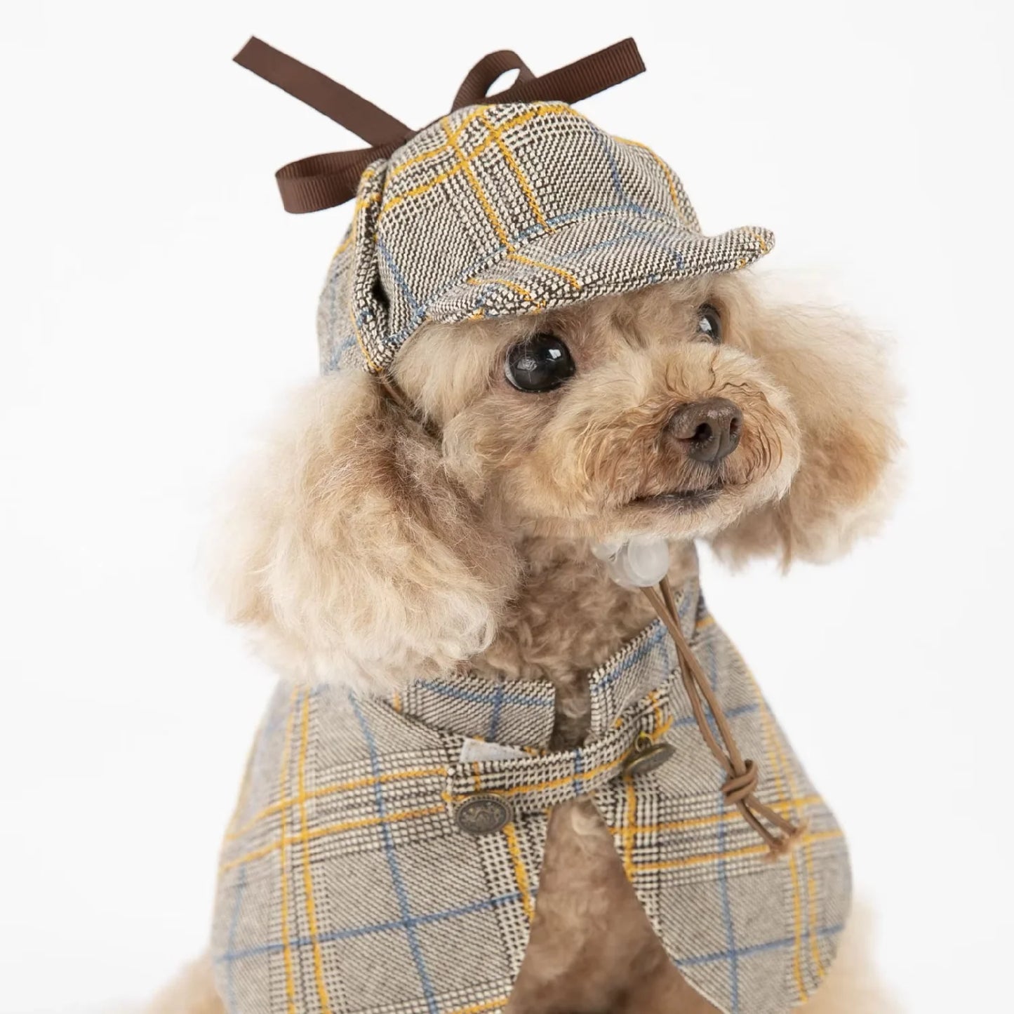 Cat and Dog Detective Costume Scottish Outfit