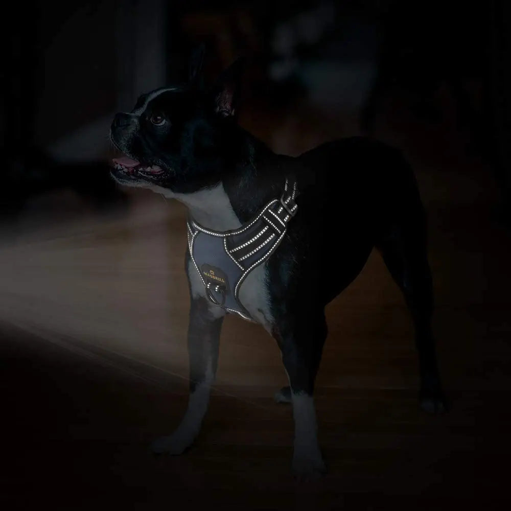 Dog Vest Harness 2 Metal Leash Hooks Easy Control