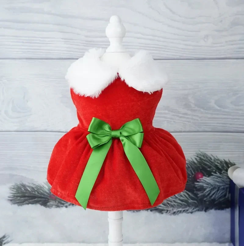Dog Christmas Coat and Red Dress