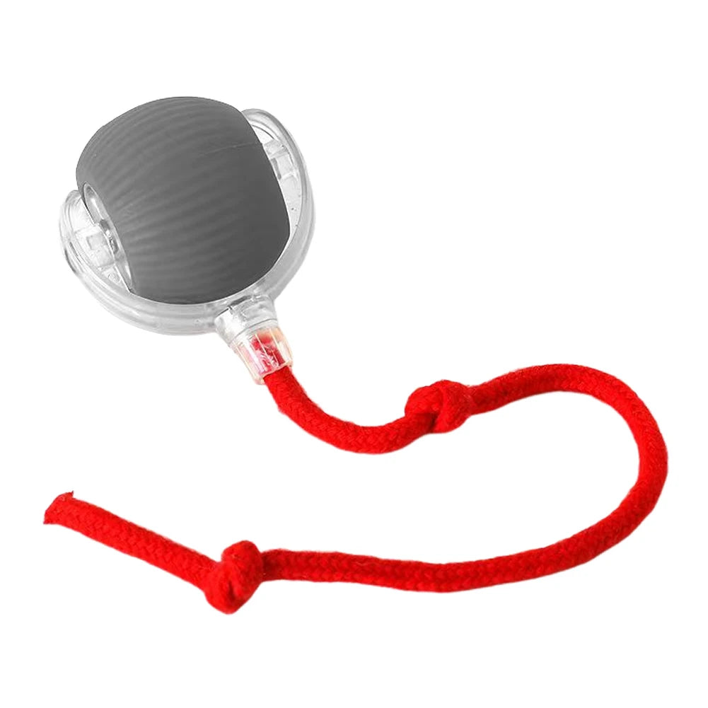 Cat or Dog Interactive Automatic Ball Toys