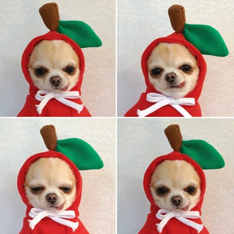 Winter Pet Hoodie Sweater Costume Washable
