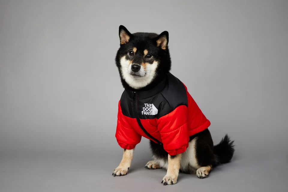 Dog Winter Jacket for Small and Medium