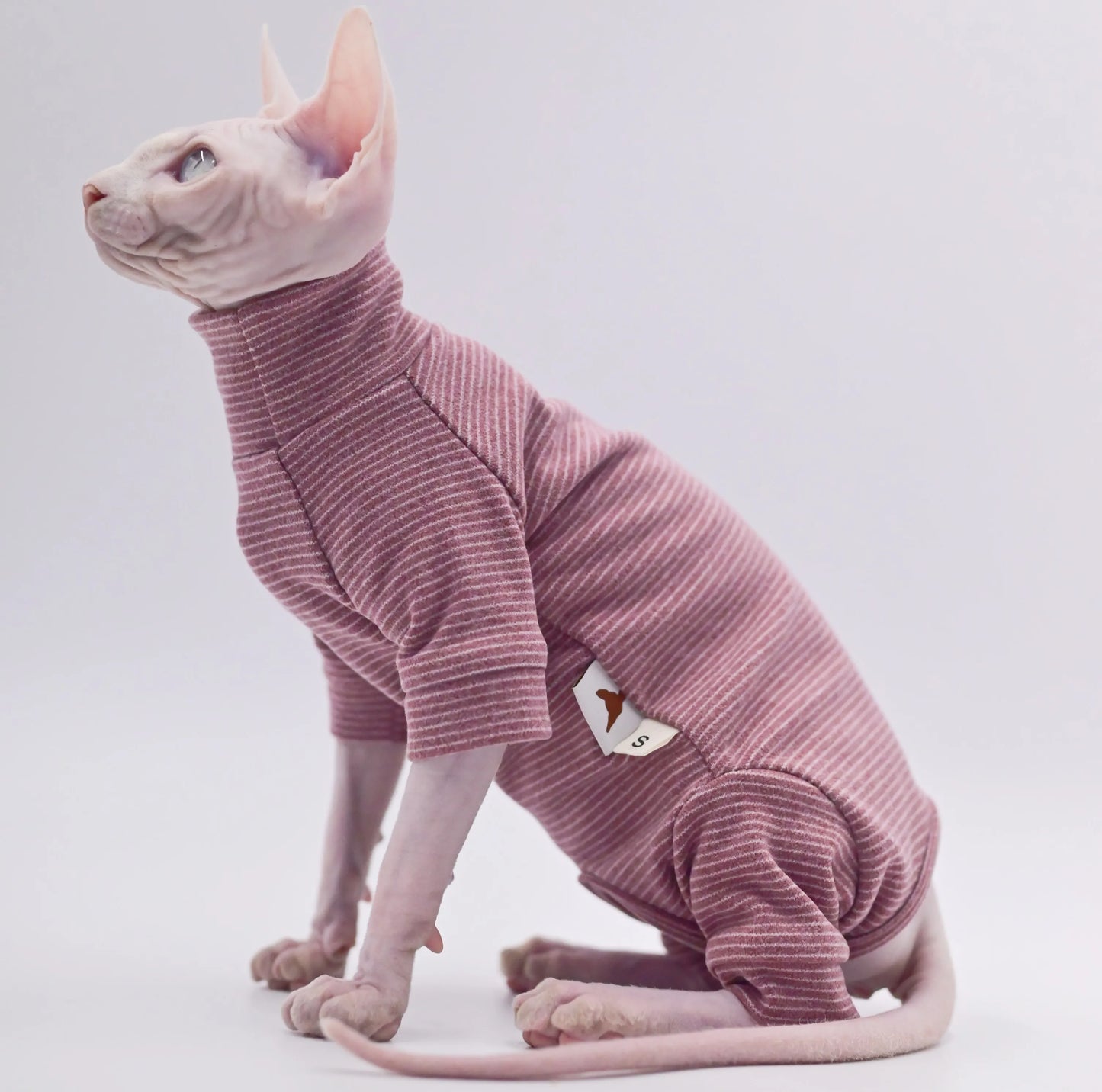 Hairless Cat Warm Clothes