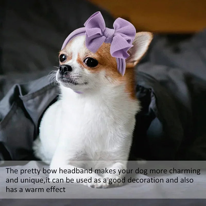 Pet Headgear bow Hat