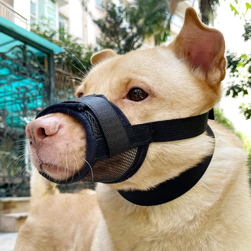 Anti-Detachment Dog Leash Muzzle