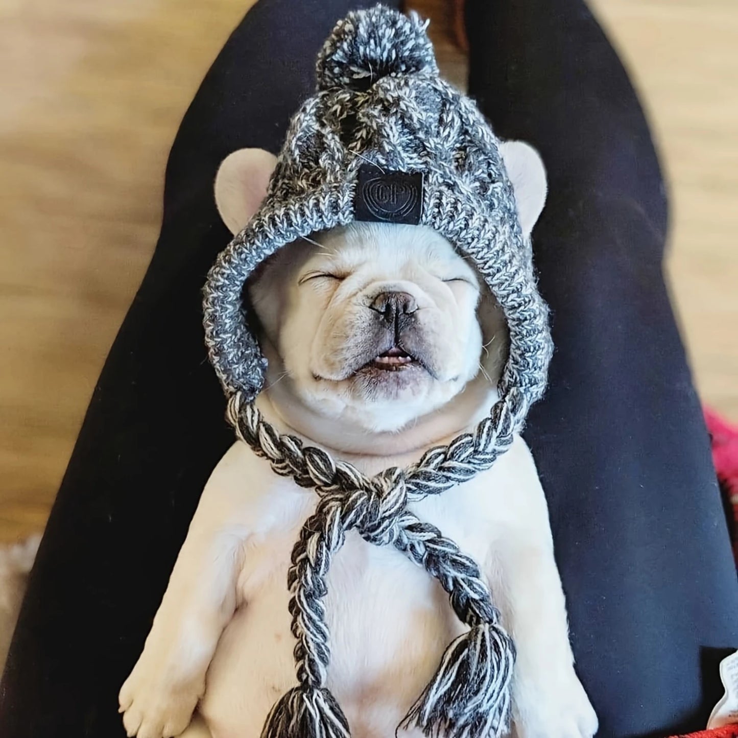 Dog Winter Cozy Hat