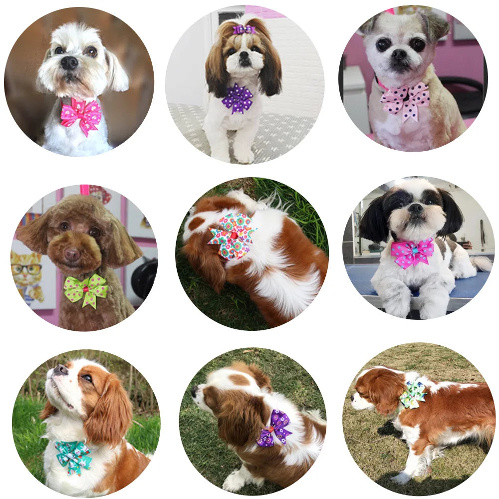 50pcs Dog Bows Dot Solid Bow Tie